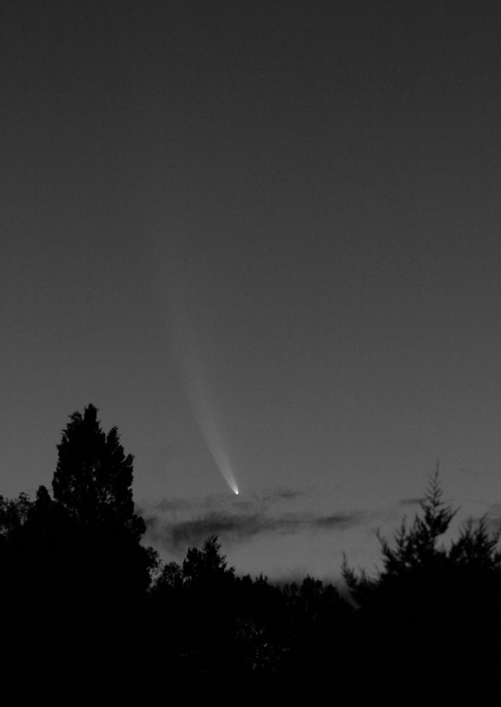 comet_mcnaught